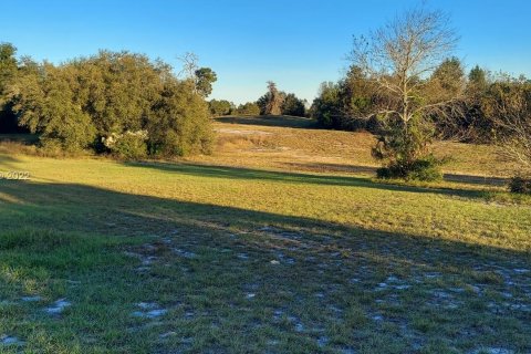 Купить земельный участок в Окала, Флорида № 1272 - фото 6