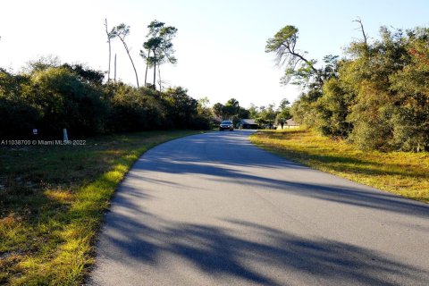 Terrain à vendre à Ocala, Floride № 1272 - photo 7