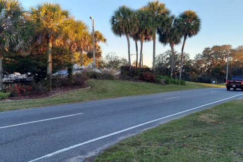 Купить земельный участок в Окала, Флорида № 1272 - фото 2