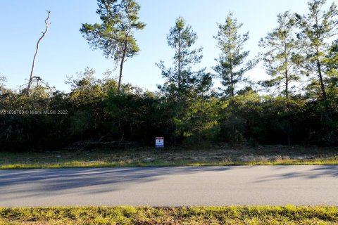 Terrain à vendre à Ocala, Floride № 1272 - photo 12