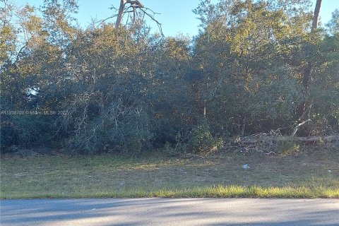 Terrain à vendre à Ocala, Floride № 1272 - photo 4