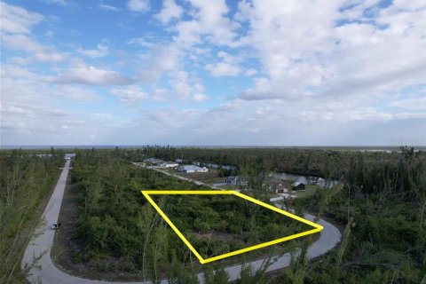 Land in Port Charlotte, Florida № 1087686 - photo 3