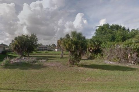 Land in Rotonda, Florida № 215301 - photo 1