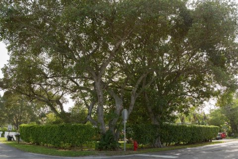 Купить коммерческую недвижимость в Палм Спрингс, Флорида 107.58м2, № 752481 - фото 6