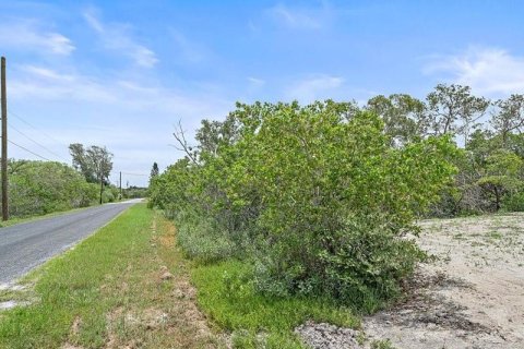 Terreno en venta en Terra Ceia, Florida № 1274599 - foto 16