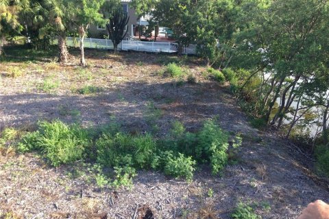 Terreno en venta en Terra Ceia, Florida № 1274599 - foto 27