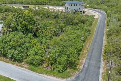 Terreno en venta en Terra Ceia, Florida № 1274599 - foto 12