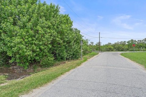 Land in Terra Ceia, Florida № 1274599 - photo 5