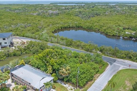 Terreno en venta en Terra Ceia, Florida № 1274599 - foto 7