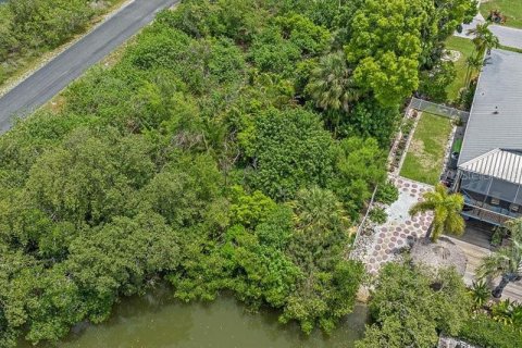 Terreno en venta en Terra Ceia, Florida № 1274599 - foto 19