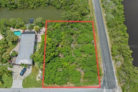 Terreno en venta en Terra Ceia, Florida № 1274599 - foto 20