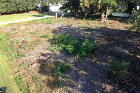 Land in Terra Ceia, Florida № 1274599 - photo 29