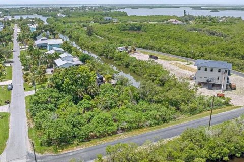 Terreno en venta en Terra Ceia, Florida № 1274599 - foto 6