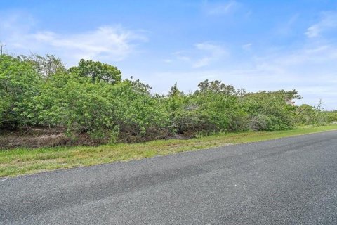 Terreno en venta en Terra Ceia, Florida № 1274599 - foto 15