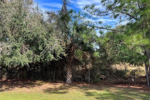 Terrain à vendre à Webster, Floride № 1363811 - photo 6