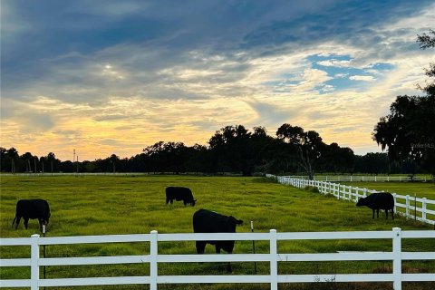 Land in Webster, Florida № 1363811 - photo 24