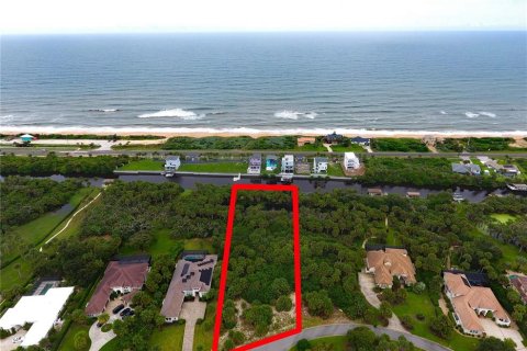 Terreno en venta en Palm Coast, Florida № 1363777 - foto 1