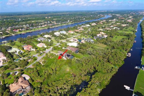 Land in Palm Coast, Florida № 1363777 - photo 7