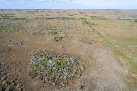 Купить коммерческую недвижимость в Хомстед, Флорида № 1310460 - фото 3