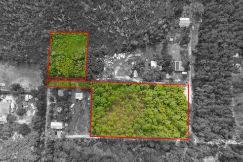 Land in Eustis, Florida № 1243163 - photo 22