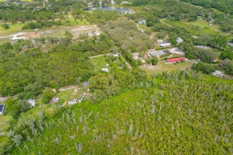 Terreno en venta en Eustis, Florida № 1243163 - foto 12