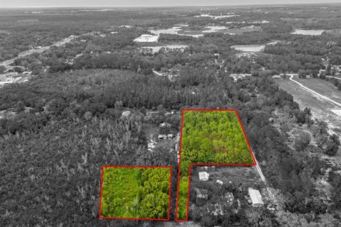 Land in Eustis, Florida № 1243163 - photo 23