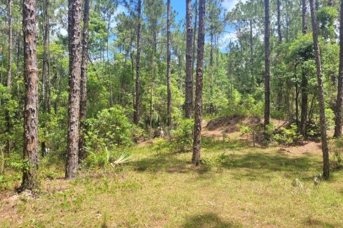 Terreno en venta en Eustis, Florida № 1243163 - foto 5