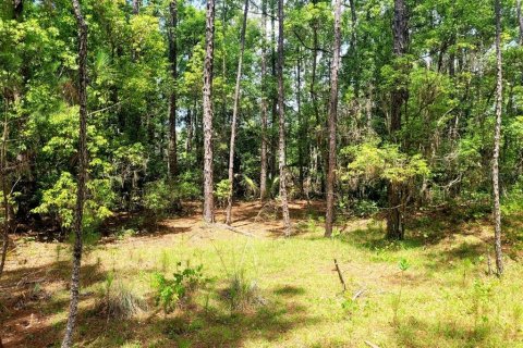 Terreno en venta en Eustis, Florida № 1243163 - foto 2