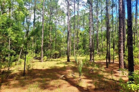 Terreno en venta en Eustis, Florida № 1243163 - foto 30