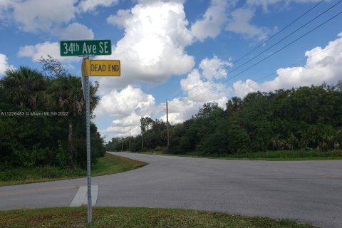 Купить земельный участок в Нейплс, Флорида № 15893 - фото 4