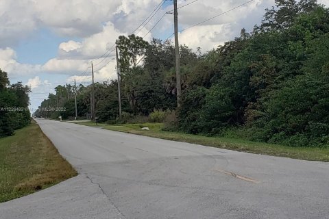 Купить земельный участок в Нейплс, Флорида № 15893 - фото 5