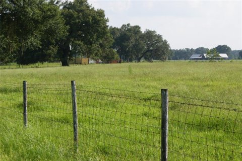 Land in Bushnell, Florida № 1318388 - photo 2