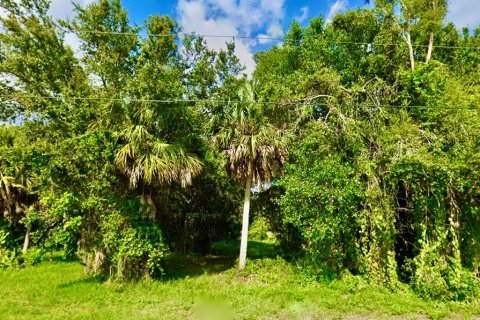 Terreno en venta en Punta Gorda, Florida № 1251493 - foto 6