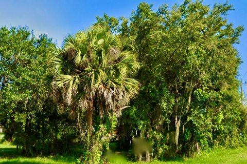 Terrain à vendre à Punta Gorda, Floride № 1251493 - photo 4