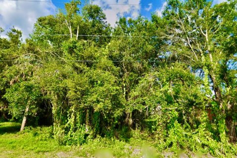 Terreno en venta en Punta Gorda, Florida № 1251493 - foto 1