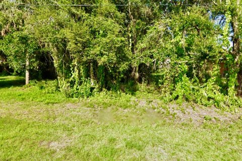 Terreno en venta en Punta Gorda, Florida № 1251493 - foto 3