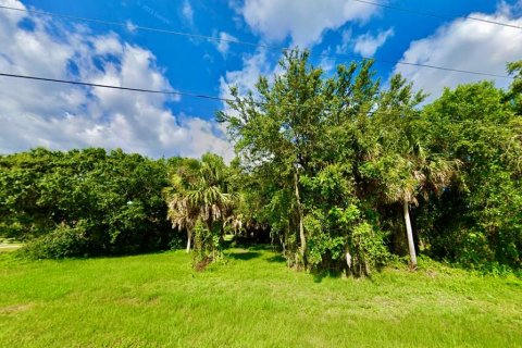 Terrain à vendre à Punta Gorda, Floride № 1251495 - photo 6