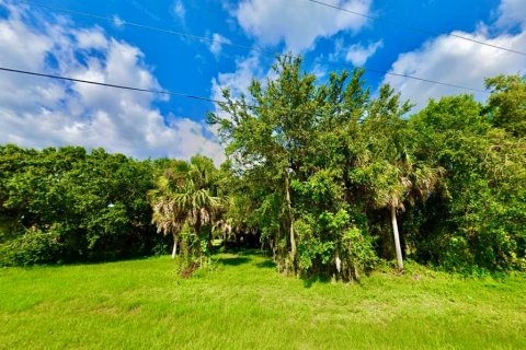 Terrain à vendre à Punta Gorda, Floride № 1251495 - photo 4