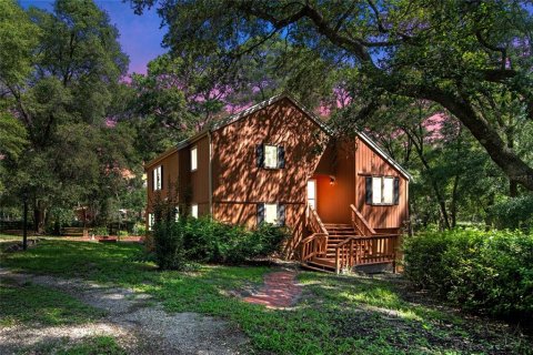 Villa ou maison à vendre à DeLand, Floride: 3 chambres, 155.33 m2 № 1262884 - photo 1