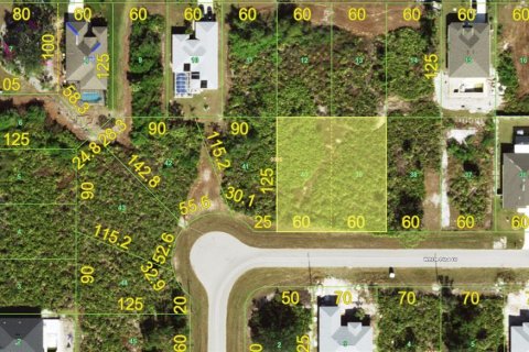 Terreno en venta en Rotonda, Florida № 1110264 - foto 1