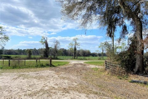 Land in Alachua, Florida № 215369 - photo 15