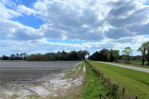Land in Alachua, Florida № 215369 - photo 2