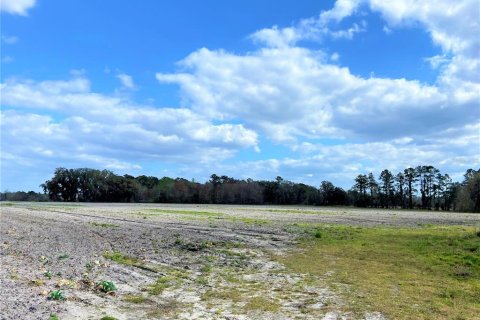 Land in Alachua, Florida № 215369 - photo 6