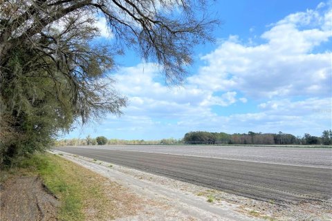 Land in Alachua, Florida № 215369 - photo 1