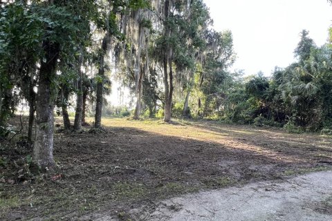 Terrain à vendre à Waldo, Floride № 1243392 - photo 4