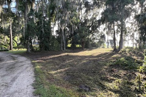 Terreno en venta en Waldo, Florida № 1243392 - foto 5