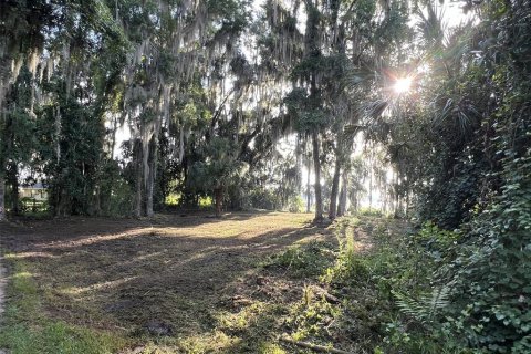 Terrain à vendre à Waldo, Floride № 1243392 - photo 6