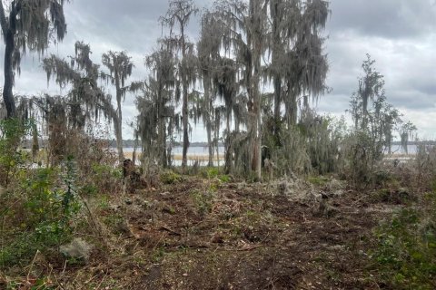 Terreno en venta en Waldo, Florida № 1243392 - foto 2