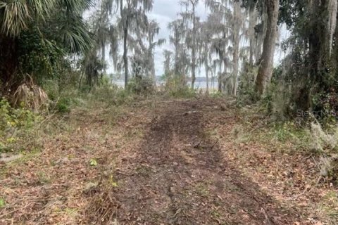 Terreno en venta en Waldo, Florida № 1243392 - foto 1