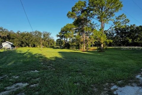 Terreno en venta en Lake Wales, Florida № 1369437 - foto 1